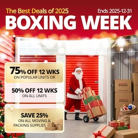 Sentinel Storage Promotion