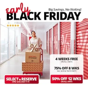 Sentinel Storage Promotion