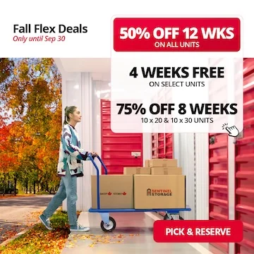 Sentinel Storage Promotion