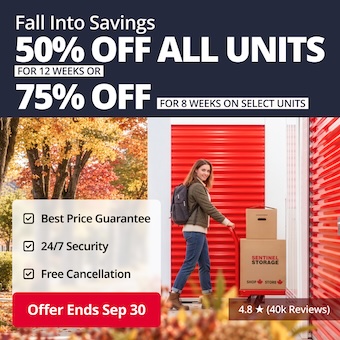 Sentinel Storage Promotion