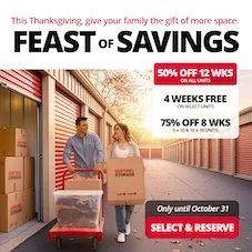 Sentinel Storage Promotion