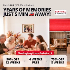 Sentinel Storage Promotion